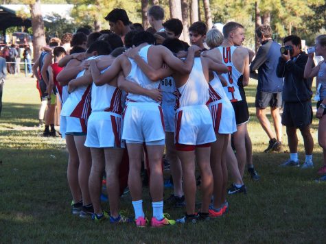 Cross Country Team Dominant in District Meet